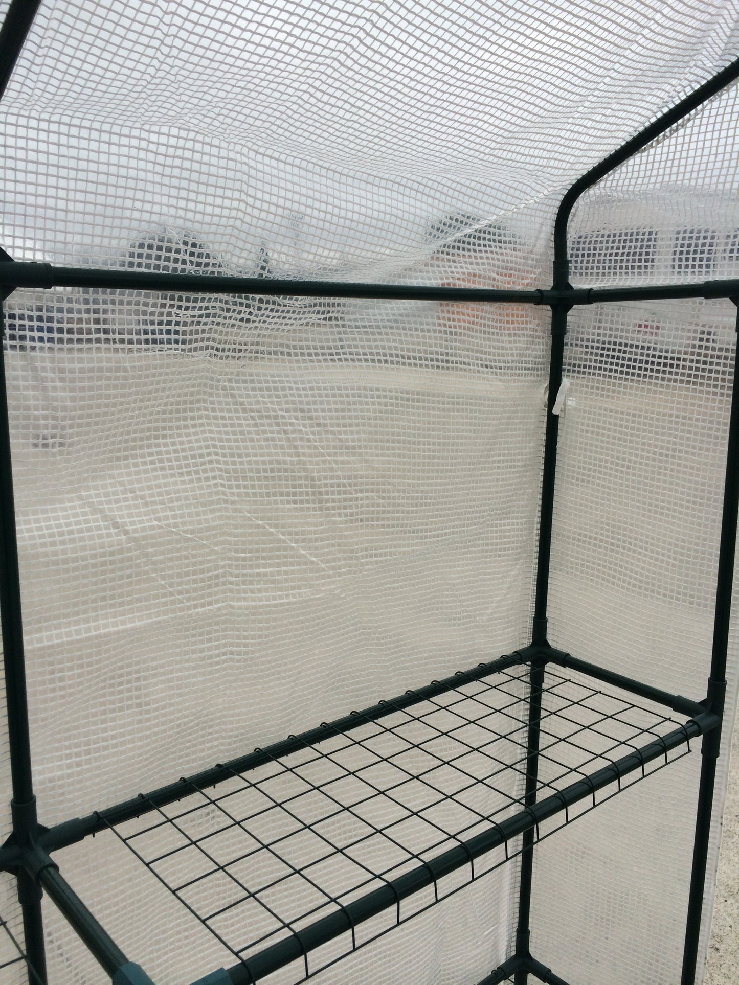 New Walk-in Greenhouse With Shelves