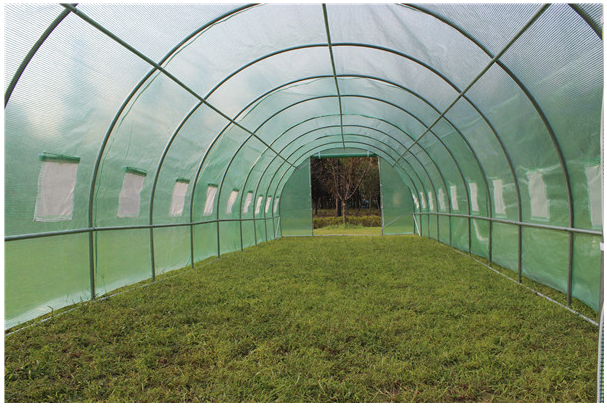 1000cm*300cm*200cm Tunnel GREENHOUSE
