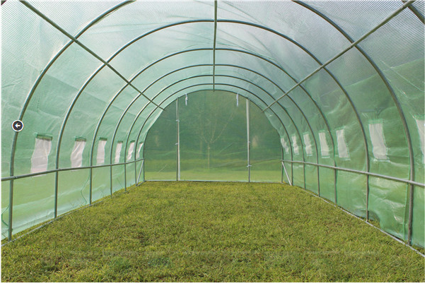 800cm*300cm*200cm Tunnel GREENHOUSE
