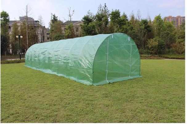 1000cm*300cm*200cm Tunnel GREENHOUSE