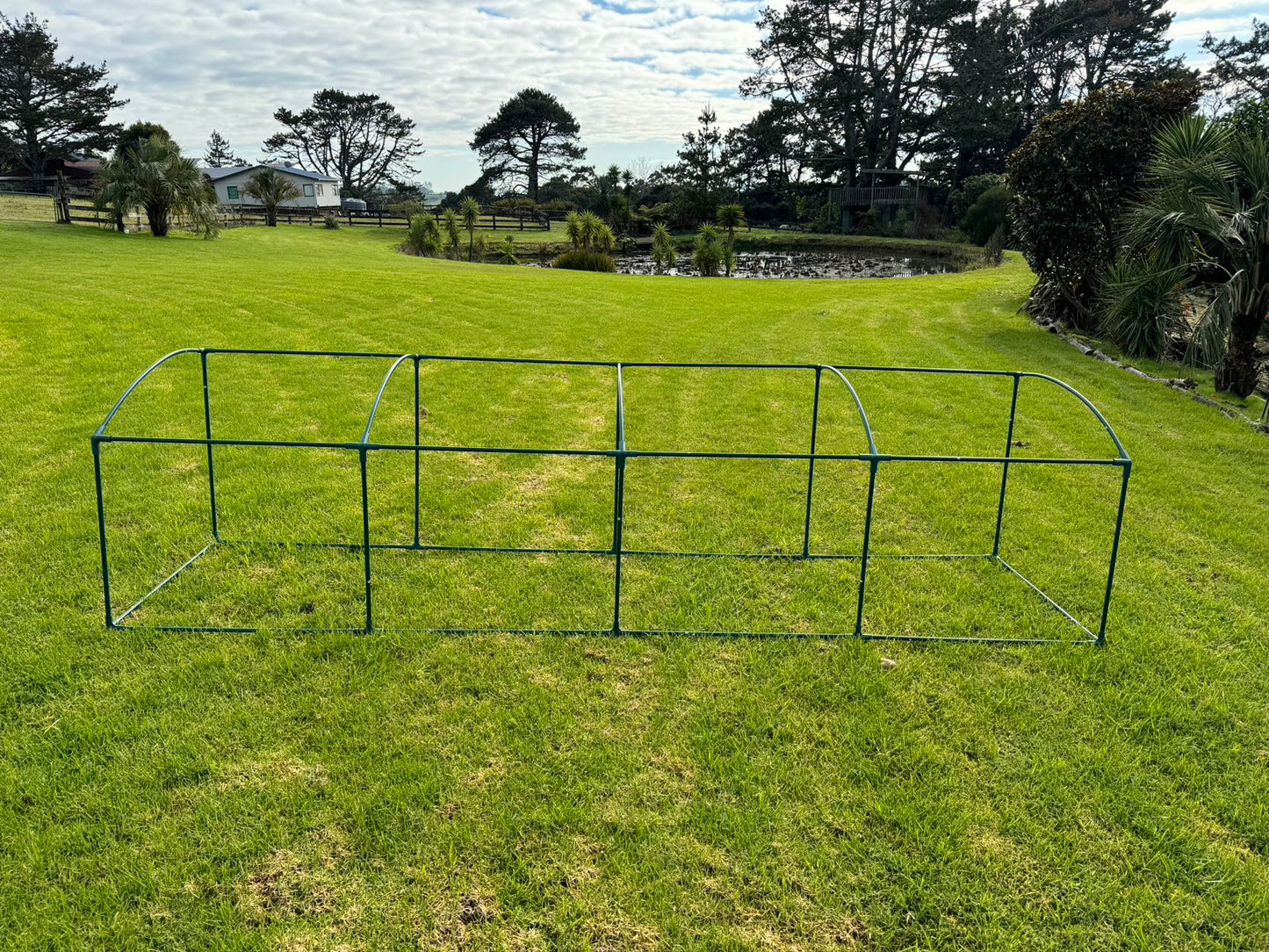 New Designed Tunnel Greenhouse 3.7m