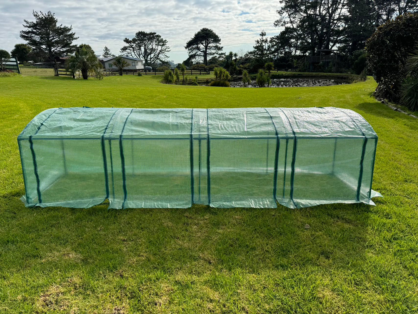 New Designed Tunnel Greenhouse 3.7m