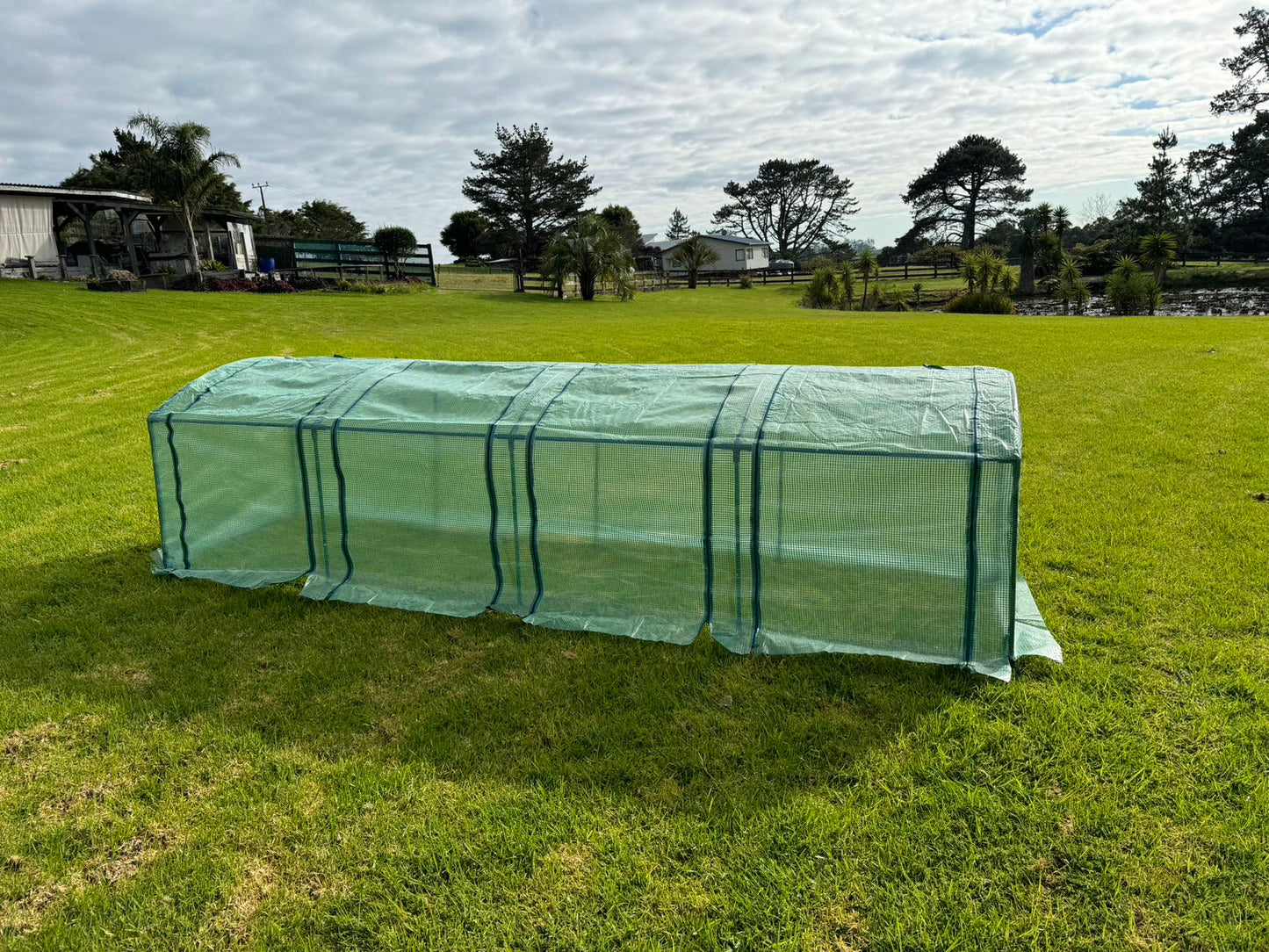 New Designed Tunnel Greenhouse 3.7m