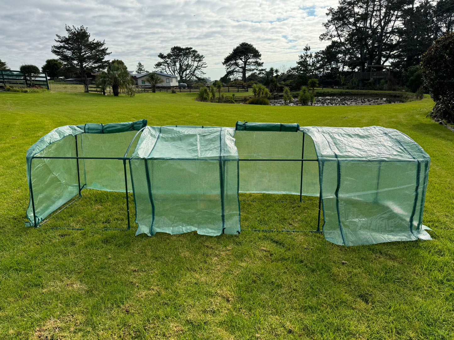 New Designed Tunnel Greenhouse 3.7m