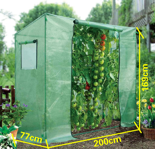 Walk-in tomato greenhouse
